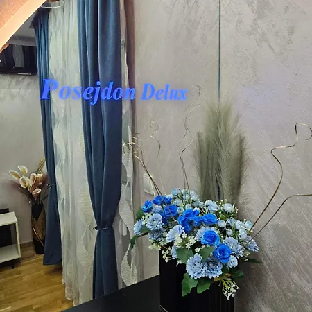 Apartment Posejdon Deluxe 3